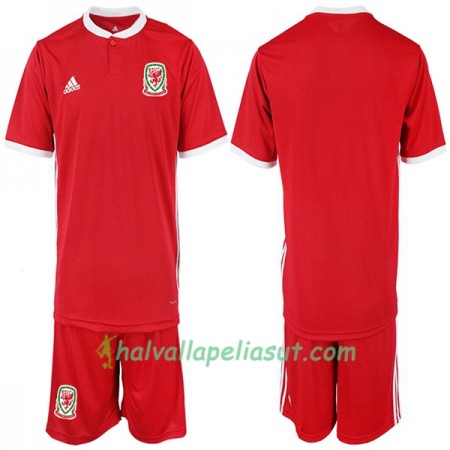 Jalkapallo Pelipaidat Wales Lasten Kotipaita 2018-2019 Lyhythihainen